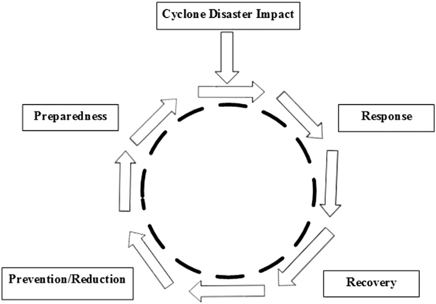  Post-Cyclone Recovery Plans